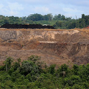 World Bank subsidies - Climate and Land Use Alliance