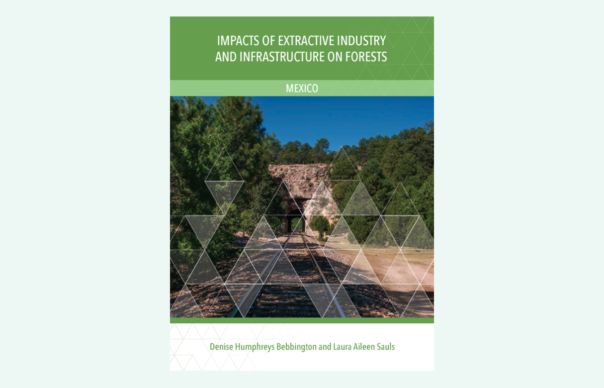 Impacts of Extractive Industry and Infrastructure on Forests